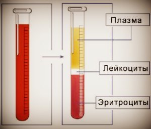 Таблица норм соэ в крови у женщин после 50 лет