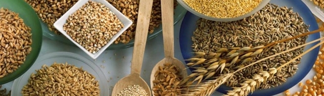 Ячневая каша польза и вред при диабете