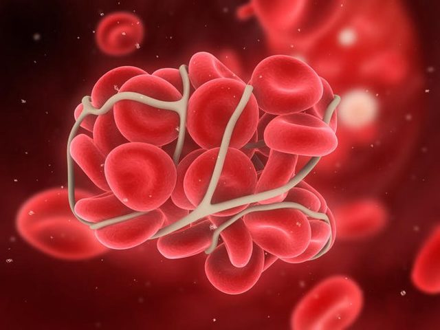 Анализ коагулограмма сколько действителен - Лечение гипертонии