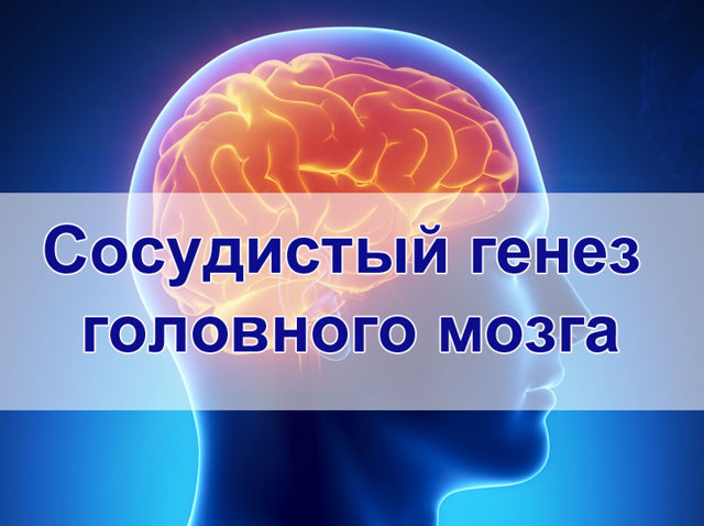 Сосудистый генез головного мозга: что это такое и как его лечить