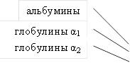 Белки плазмы крови – их функции в организме, фракции и их характеристика