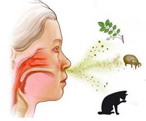 Эозинофилы в крови у ребенка: причины, симптомы, диагностика