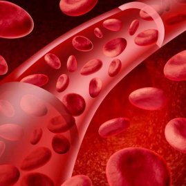 Повышенный гемоглобин в анализе крови - что означает, признаки, лечение и последствия