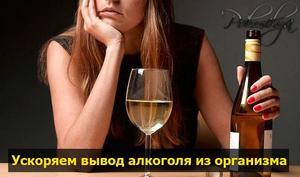 За какое время алкоголь выходит из организма человека. Как ускорить выведение спиртного