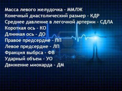 Расшифровка результатов УЗИ сердца: нормальные показатели