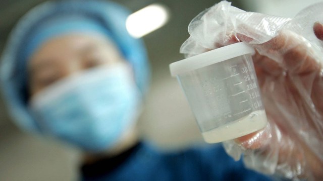 Сколько платят за сдачу крови и плазмы в России