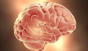 Спазмы сосудов головного мозга: симптомы, лечение, препараты, профилактика