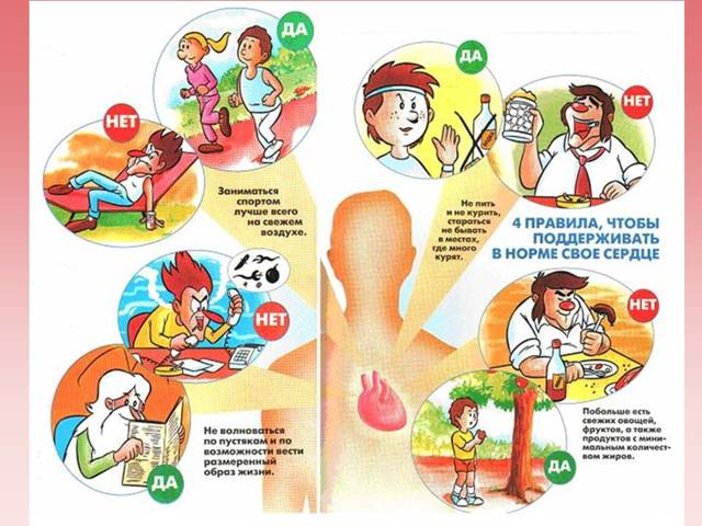 Ишемическая болезнь сердца: симптомы и лечение ишемической болезни сердца, что это такое и чем оно опасно для человека