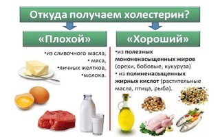 Продукты повышающие холестерин в крови у женщин и у мужчин