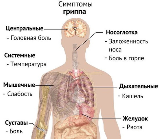 АНАФЕРОН ДЕТСКИЙ: ИНСТРУКЦИЯ ПО ПРИМЕНЕНИЮ, ЦЕНА, ОТЗЫВЫ, АНАЛОГИ ТАБЛЕТОК АНАФЕРОН ДЕТСКИЙ