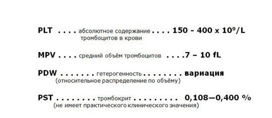 Повышенные тромбоциты в крови у женщин, мужчин: причины повышения, как снизить высокий уровень