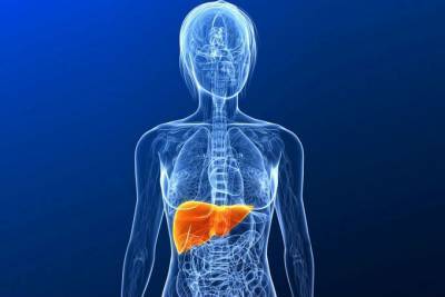 АСТ в крови – какова норма, причины повышения, что означает анализ крови АСТ?