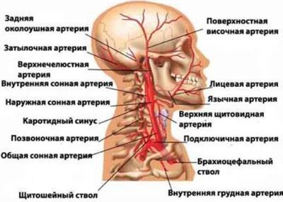 Нестенозирующий атеросклероз артерий