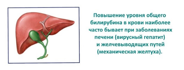 Билирубин (прямой, непрямой) в крови повышен: что это значит, причины?