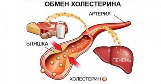 Крестор - 16 отзывов, инструкция по применению