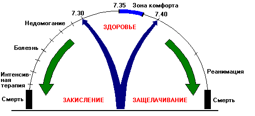 Анализ PH крови — как определить уровень КЩБ, причины повышения и понижения