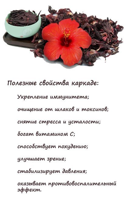Каркаде и давление - повышает или понижает?