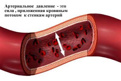 Как снизить сердечное давление в домашних условиях