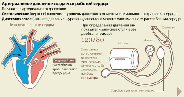 Нормальное давление человека по годам, возрастам – таблица. Низкое, высокое давление – что делать?