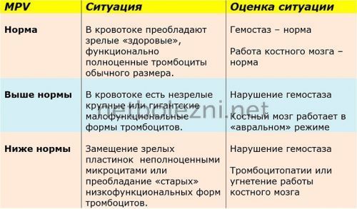 Почему в крови мало тромбоцитов: причины снижения и что с этим делать