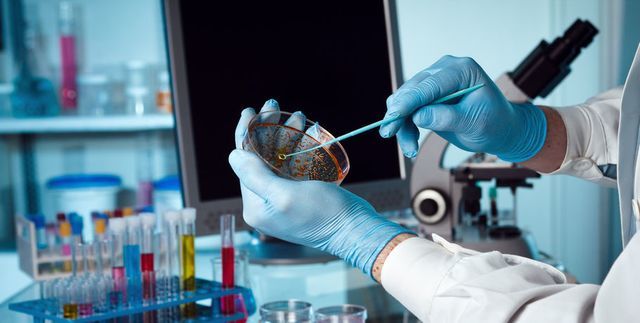 Посев крови - что это, что показывает бактериологический посев