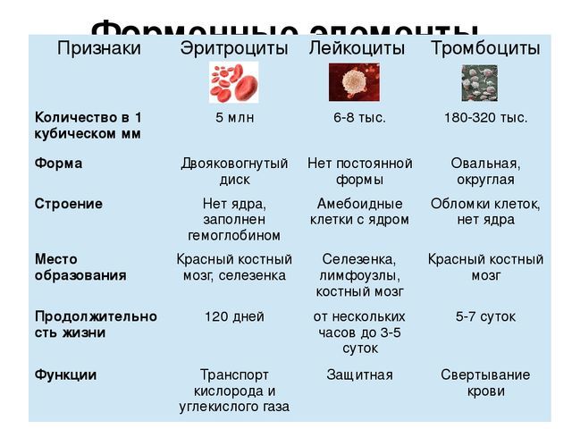 Иммунитет - материалы для подготовки к ЕГЭ по Биологии