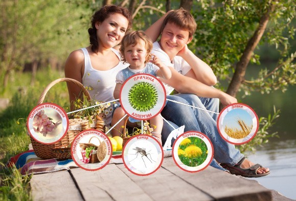 Функции и значение эозинофилов