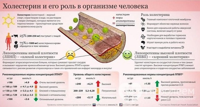 Гиперхолестеринемия: что это такое – диета при семейном типе