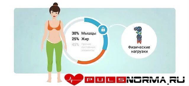 Какой должен быть пульс при беге