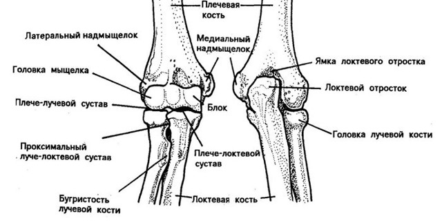 Боль в локтевом суставе: причины, лечение и профилактика