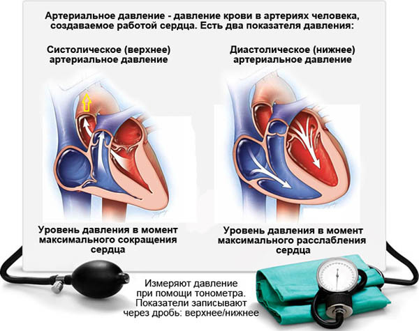 Систолическое артериальное давление: что это такое