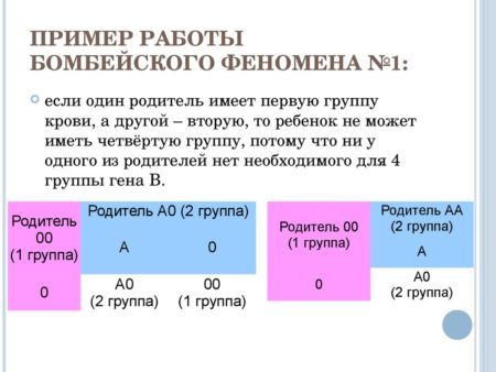 Узнаем какие группы крови являются редкими? Какая наиболее часто встречается?