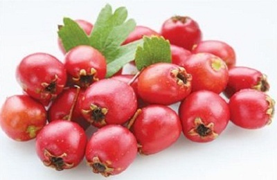 Средства от тахикардии понижающие давление