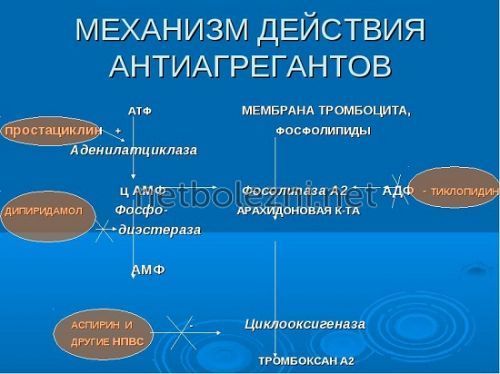 Препараты для разжижения крови, список средств и лекарств разжижающих кровь и препятствующих тромбообразованию