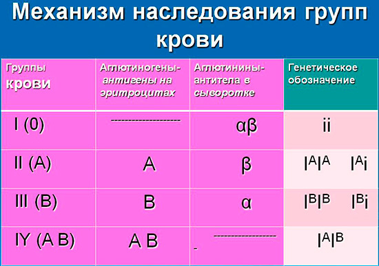 Совместимость групп крови: какая группа крови будет у ребенка
