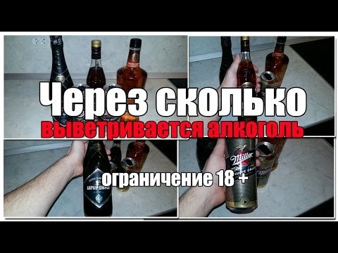 Сколько держится алкоголь в организме. Время выхода алкоголя из организма