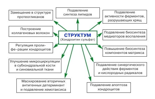 Инструкция по применению мази Хондроитин - показания