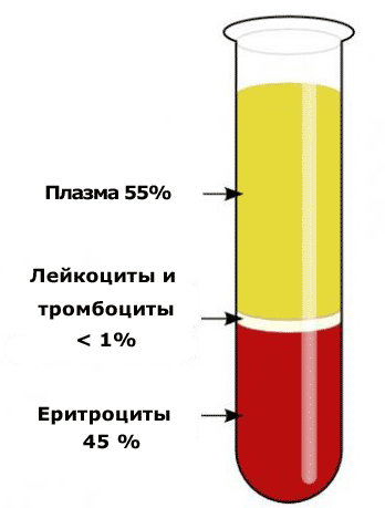 Почему гемоглобин низкий соя высокая. Рак крови: сниженный гемоглобин и повышенный СОЭ
