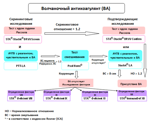 Волчаночный антикоагулянт при беременности