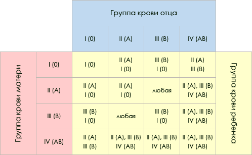 Четвертая группа крови резус-положительный: характер, здоровье, диета