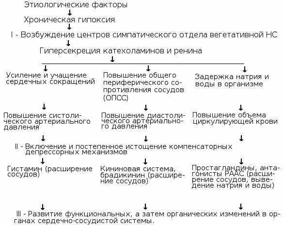 Гипертоническая болезнь: классификация и симптомы