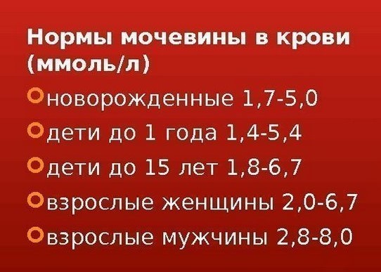 Мочевина в крови — что это такое, как лечить повышение мочевины