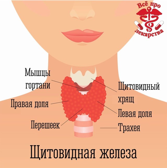 Тирозол - официальная инструкция по применению, аналоги