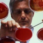 Липиды крови норма у женщин по возрасту таблица - Про холестерин