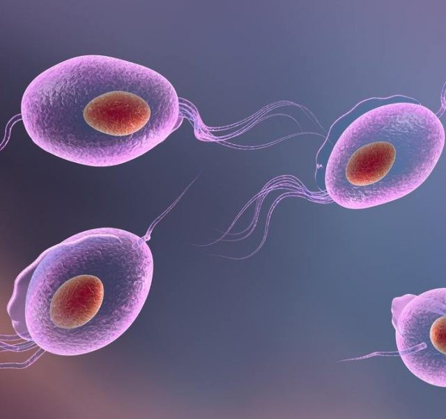 Вагинальные таблетки и свечи Клион Д: инструкция по применению, аналоги, отзывы