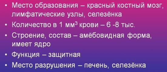 Общий анализ крови - лейкоциты: норма и причины отклонения от нормы