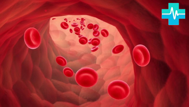 На что влияет повышенный билирубин в крови. Повышенный билирубин в крови: причины, симптомы и способы понижения