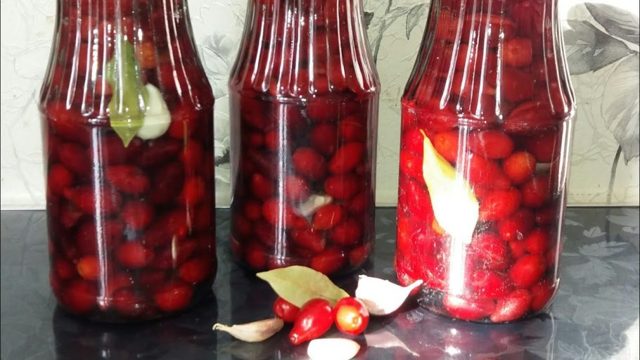 Кизил от геморроя: лечение и полезные свойства