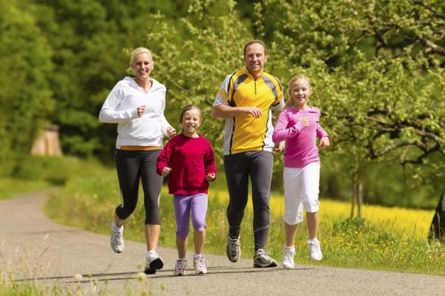 Сердце человека: анатомическое строение, функции, принцип работы