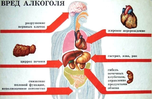 Вино повышает или понижает давление? Можно ли пить красное вино при гипертонии